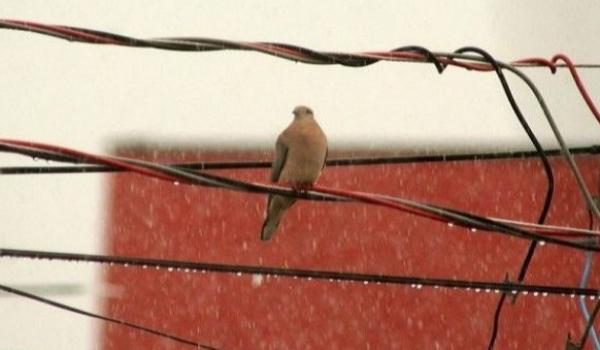 Previsão do Tempo: Chuvas e ventos fortes são esperados nestas segunda e terça-feira