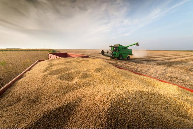 Produção de grãos do país  bate recorde de 273 milhões de toneladas
