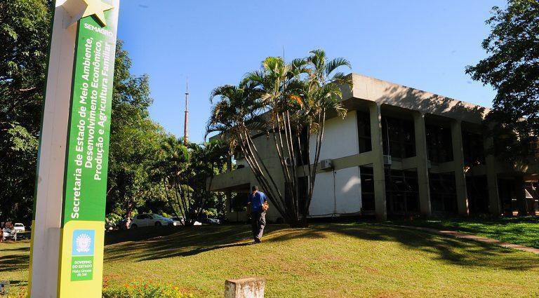 Grupo é criado para monitorar animais vítimas de desastres ambientais em MS