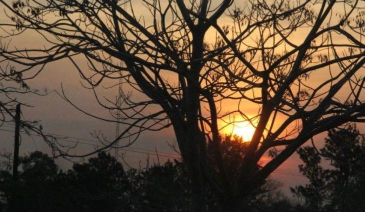 Grande amplitude térmica e tempo seco marcam quarta-feira em Mato Grosso do Sul