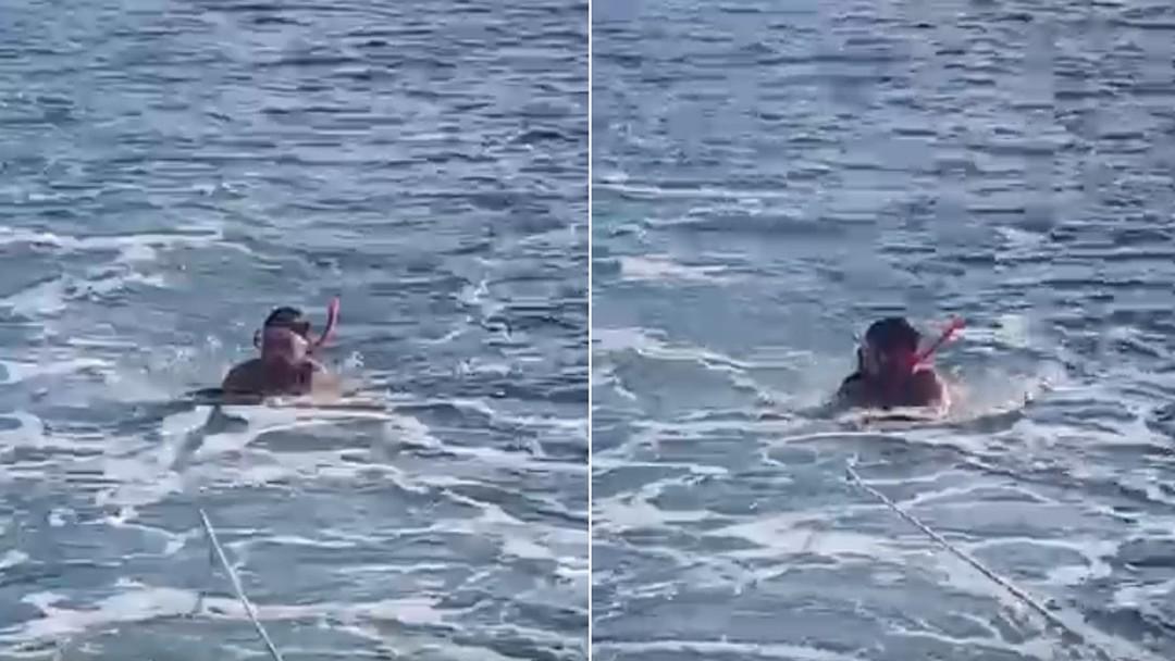 Imagens mostram turista praticando plana sub antes de morrer em Noronha