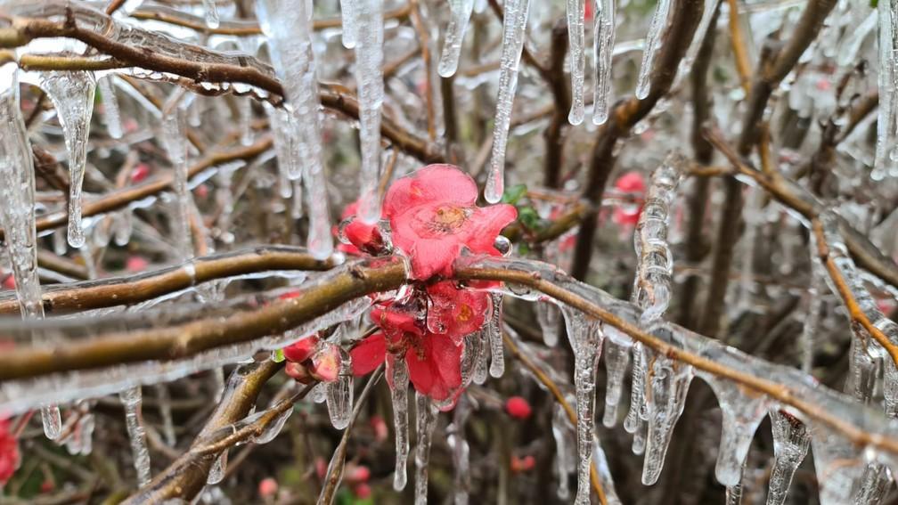Com -7,5°C SC registra menor temperatura do país
