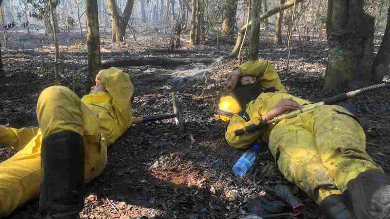 Incêndios já consomem mais de 70% de parques na fronteira de MS