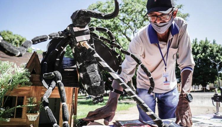 MS já soma 127 notificações de dengue em 2021