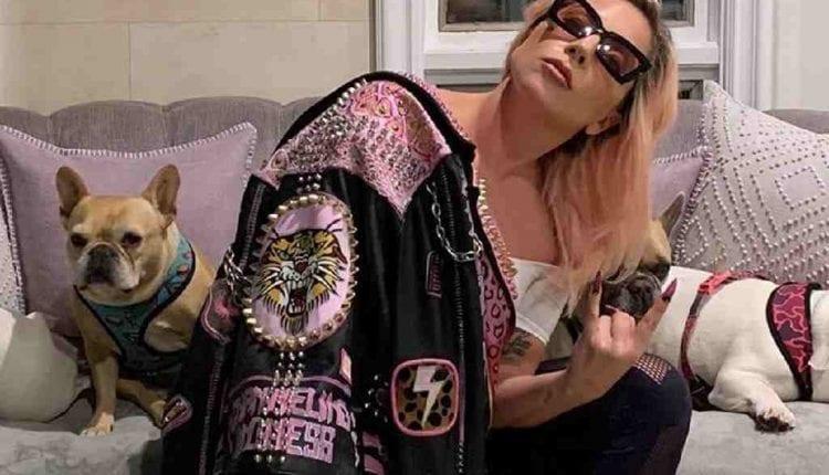 Cães de Lady Gaga são encontrados seguros após sequestro violento