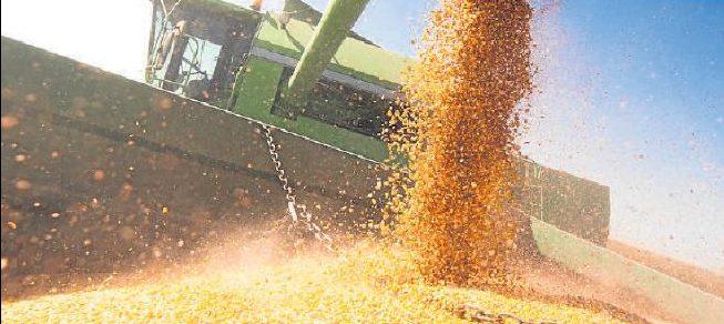 Crédito rural terá aplicação de R$ 233 bilhões