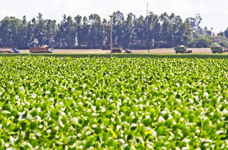 UEMS/Aquidauana: mestrado em Agronomia abre inscrições para o 2º semestre