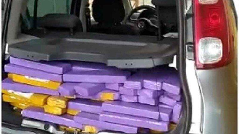 Morador de Brasília é preso com mais de 300 quilos de maconha em cidade de MS
